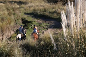 Córdoba: Ausritt auf der Estancia Los Potreros
