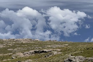 Córdoba: Guided Tourist Safari to Pampa de Achala with Lunch