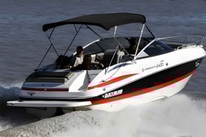 Best of Delta Buenos Aires privat båttur: Nyt mer