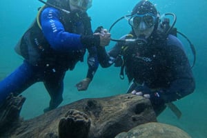 Dykning i Lago Moreno: Bariloche