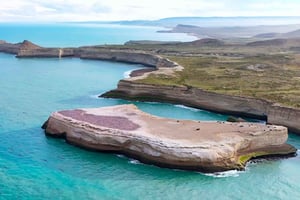 Эль-Калафате: Экскурсия 'Волки и пингвины Монте-Леона 4х4