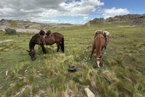 Depuis Cordoue : randonnée à cheval en haute montagne avec déjeuner