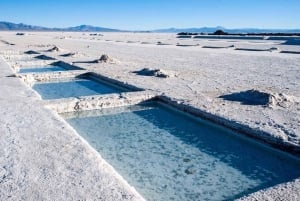 Saltasta: Salta: Kokopäiväretki Salinas Grandesiin ja Purmamarcaan