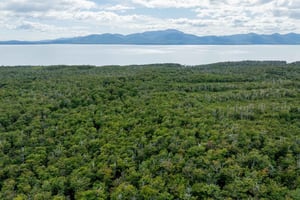 Da Ushuaia: tour in fuoristrada dei laghi Escondido e Khami