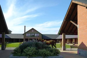 Лошади, Асадо и природа. День на чистокровной ферме