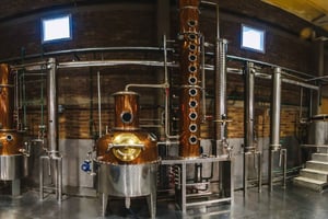 Лухан-де-Куйо: дегустация вина и джина с уроком приготовления коктейлей