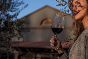 Maipú Express: tarde de 3 adegas de contraste e degustação de azeitonas