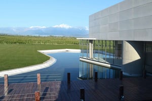 Maipú: wijn- en olijfolietour met gastronomische lunch