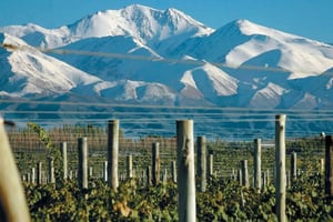 Mendoza: schilderachtige rit door de Andes, Cristo de los Cerros Lunch & Wine