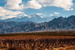 Mendoza: Dagvullende tour met 3 gangen lunch