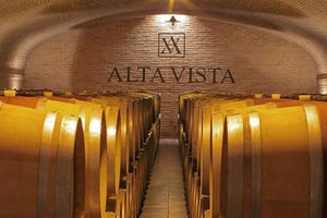 Mendoza: Experiencia Gastronómica en Bodega