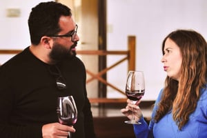 Mendoza: dagtour door de Uco-vallei met wijn, cultuur en geschiedenis