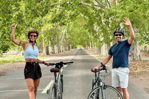 Mendoza: Wein- und Radtour durch Weingüter am Fuße der Anden