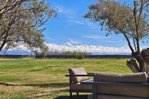 Circuit « Route des vins de Mendoza »