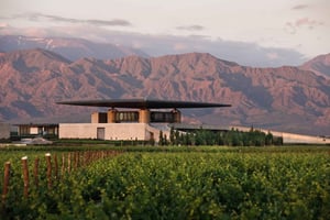 Mendoza: Vintur fra Agrelo til Uco Valley + smagning og frokost