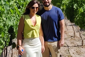 Mendozas Top-Weinkellereien! All Inclusive Private Tours!