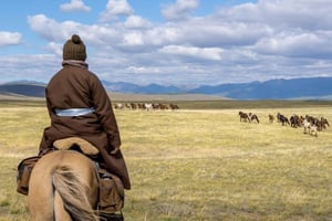Argentinien: Gaucho-Reitabenteuer in den Pampas + Mittagessen