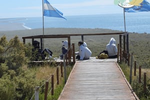 Półwysep Valdes: Wycieczka na ląd dla pasażerów rejsów wycieczkowych