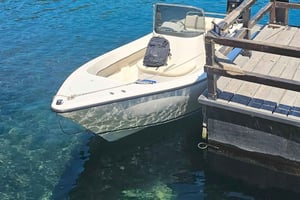 Privat bådtur på Lago Lacar i San Martin de los Andes