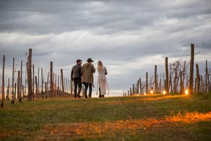 Privat Bodega Gamboa vinsmagningstur med frokost