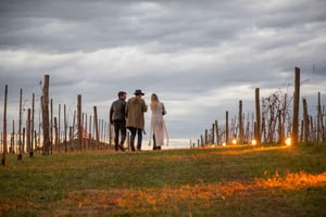 Prywatna wycieczka Bodega Gamboa z degustacją wina i lunchem