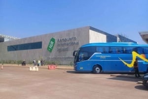 Puerto Iguazu: Envägs eller transfer tur och retur flygtransfer