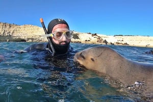 Puerto Madryn: Passeio de snorkeling com leões marinhos
