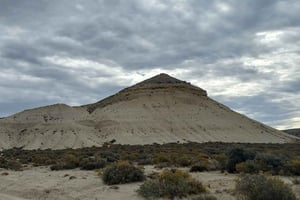 Puerto Madryn på 4 timer: Byrundtur og sydtur med picnic