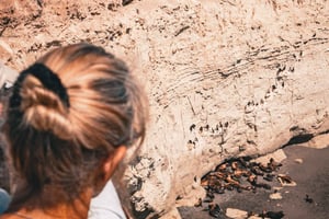 Puerto Madryn Punta Loman rantakierros ja käsityöolutmaistiaiset