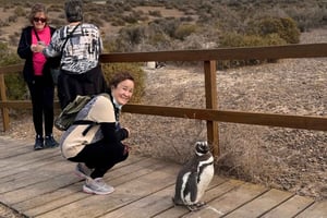 Puerto Madryn: Dagsutflykt till Punta Tombo med flygplatstransfer