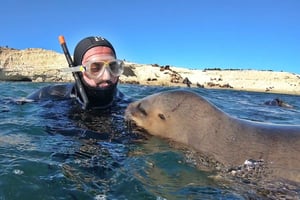 Puerto Madryn: Snorkeling Trip with Sea Lions