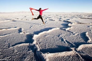 Salta: Safari til skyerne og Salinas Grandes i firehjulstrækker