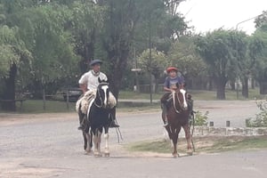 Heldagstur til San Antonio de Areco og Lujan fra Buenos Aires