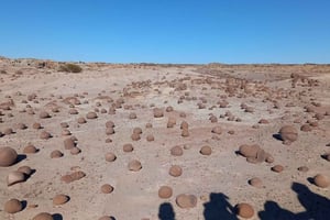 San Juan : Visite du parc Ischigualasto dans la vallée de la lune