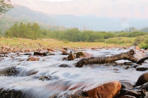 Sightseeingtour San Martín de los Andes: Mallin Grande