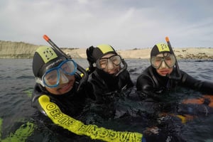 Plongée avec tuba en compagnie des lions de mer à Punta Loma