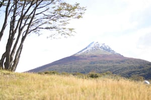 Tur i nationalparken Tierra del Fuego
