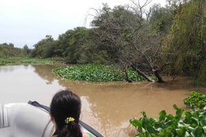 Tigre: Safari Delta båttur i Tigre