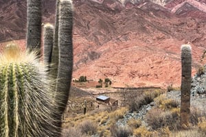 TREK CORAZÓN HORNOCAL ALL INCLUSIVE 4 PÄIVÄÄ + IN/OUT AIRPORT