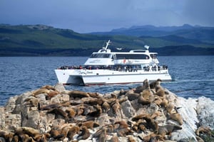 Ushuaia: Beagle Channel, Seal Island og Bridges Islands Tour