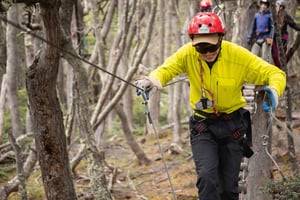 Ushuaia: Experiencia Canopy