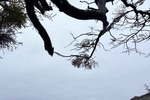 4x4 Ushuaia Aventura: Lagos Escondido y Fagnano.