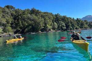 Villa la Angostura: Half Day Kayak Tour with Picnic