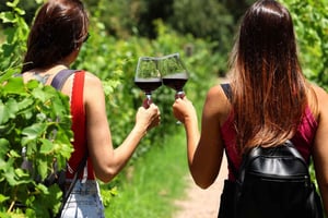 I Mendoza: Vin-, empanada- og olivenolieture