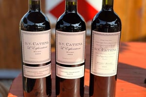 Esperienza di vino e musica a cura di D.V. Catena con un tagliere di salumi