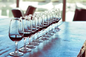 Wineries and Olive Trees Tour - Mendoza