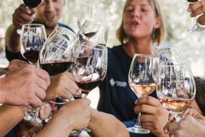 Mendoza: Degustacja wina z lunchem i prywatnym transportem