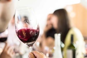 Vingårdsdag i Uco-dalen