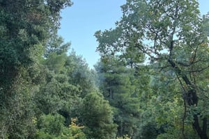 Ateenan seikkailu Parnithan vuorella 650-kuutioisilla mönkijöillä