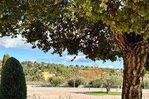 Atenas: tour de cata de vino con desayuno y visita a un museo